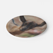 Geitenvlees Papieren Bordje (Gekanteld)