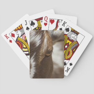 Geitenvlees Pokerkaarten