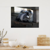 Geitenvlees Poster (Keuken)