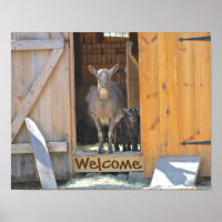 Geitenvlees Poster