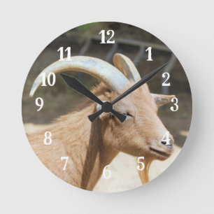 Geitenvlees Ronde Klok