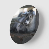 Geitenvlees Ronde Klok (Hoek)