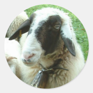 Geitenvlees Ronde Sticker