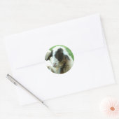 Geitenvlees Ronde Sticker (Envelop)