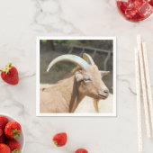 Geitenvlees Servet (Insitu)