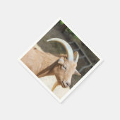 Geitenvlees Servet (Hoek)