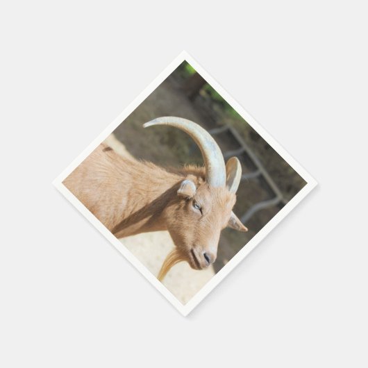 Geitenvlees Servet (Hoek)