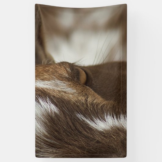 Geitenvlees Spandoek (Verticaal)