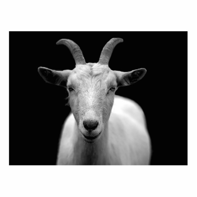 Geitenvlees Staand Fotobeeldje (Voorkant)