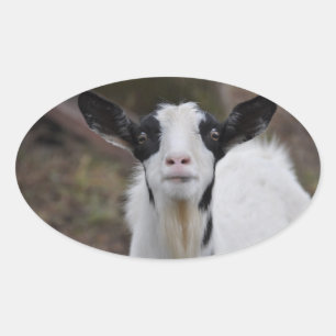 Geitenvlees Sticker