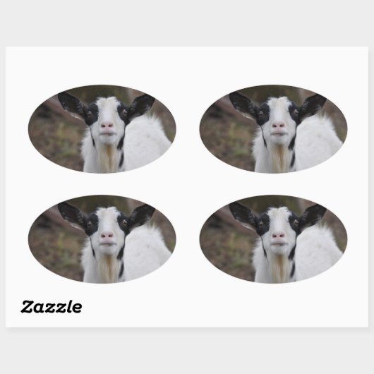 Geitenvlees Sticker (Vel)