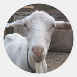 Geitenvlees sticker