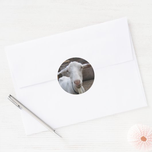 Geitenvlees sticker (Envelop)