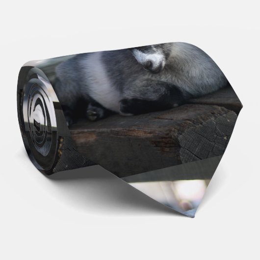 Geitenvlees Stropdas (Opgerold)