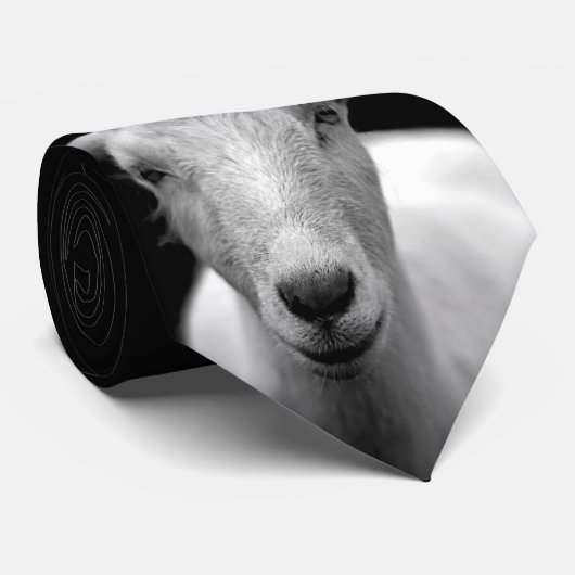 Geitenvlees Stropdas (Opgerold)