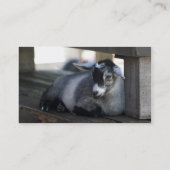 Geitenvlees Visitekaartje (Achterkant)