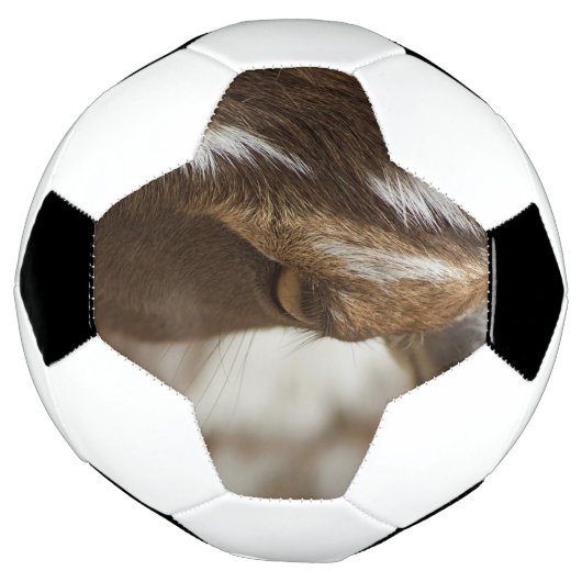 Geitenvlees Voetbal (Gedraaid)