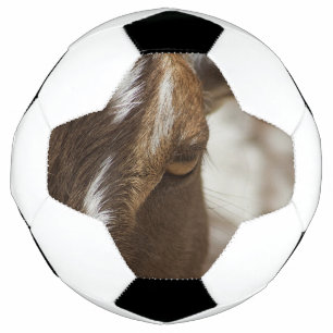 Geitenvlees Voetbal