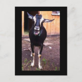 Geitenvrij Briefkaart (Voorkant)