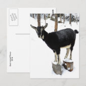 Geitenvrij Briefkaart 2014 (Voorkant / Achterkant)