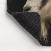 Geitenwacht Muismat (Hoek)