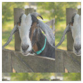 Geitenweefsel Stof (Close Up)