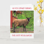 Geitenziekte en schapenchemo kaart (Gele Bloem)