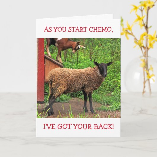 Geitenziekte en schapenchemo kaart (Gele Bloem)