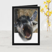 Geiteschermen om er uit te komen kaart (Gele Bloem)