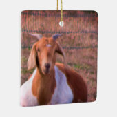 Geitfoto Keramisch Ornament (Rechts)