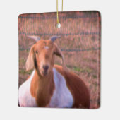 Geitfoto Keramisch Ornament (Links)