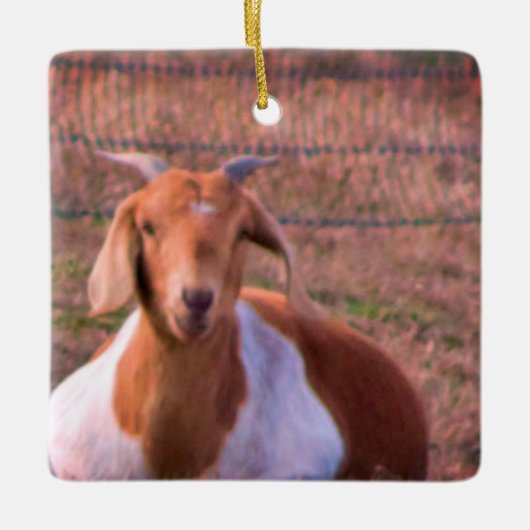 Geitfoto Keramisch Ornament (Voorkant)