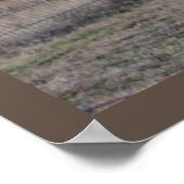 Geitfoto Poster (Hoek)