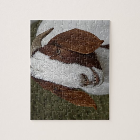 Geitje glimlachen legpuzzel (Verticaal)