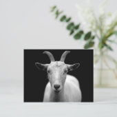 Geitportret in zwart-wit briefkaart (Staand voorkant)