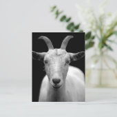 Geitportret in zwart-wit briefkaart (Staand voorkant)
