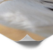 Geitportret Poster (Hoek)