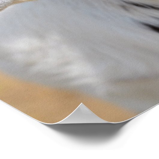 Geitportret Poster (Hoek)