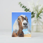 Geitster 1.jpg briefkaart (Staand voorkant)