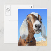 Geitster 1.jpg briefkaart (Voorkant / Achterkant)