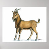 Geitte: bruin poster (Voorkant)