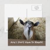 Geitte glimlachen briefkaart (Voorkant / Achterkant)