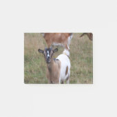 Geitte in een veld post-it® notes (Voorkant)