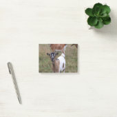 Geitte in een veld post-it® notes (Kantoor)