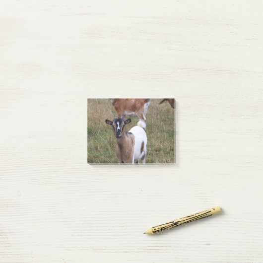Geitte in een veld post-it® notes (Op bureau)