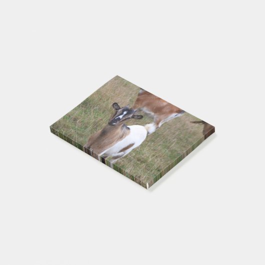 Geitte in een veld post-it® notes (Schuin)