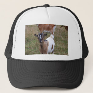 Geitte in een veld trucker pet