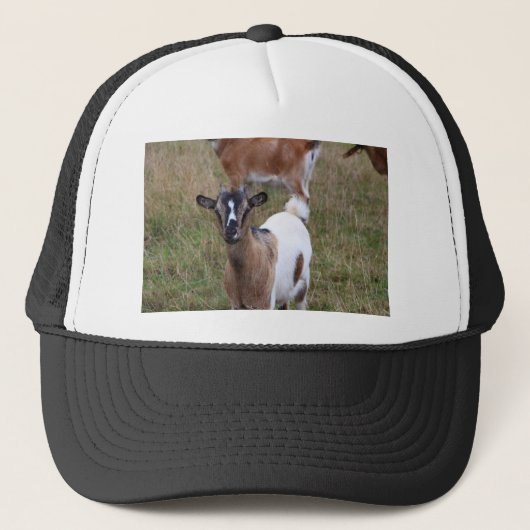 Geitte in een veld trucker pet (Voorkant)