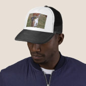 Geitte in een veld trucker pet (In situ)