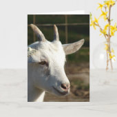 Geitte Kaart (Gele Bloem)